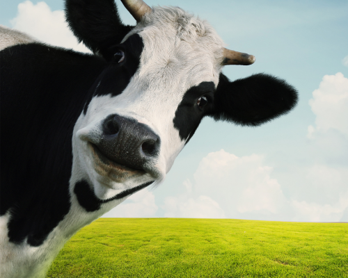 Untitled design (17)